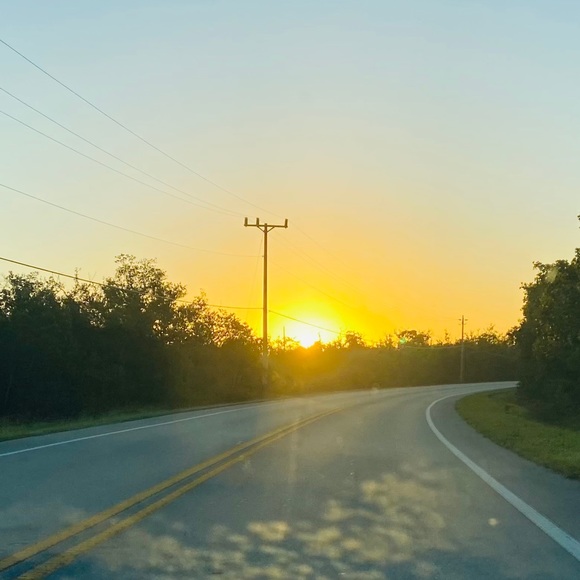 Meet your Posher, Mimi - Picture 1 of 1